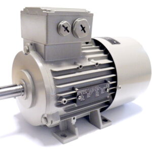 Electric Motors SIEMENS
