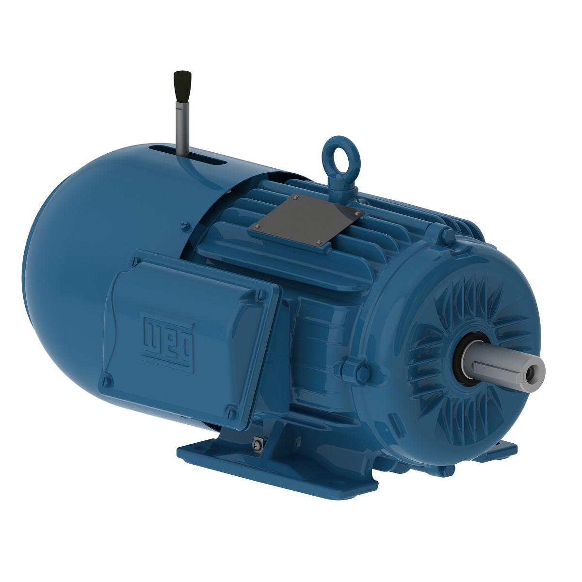 BRAKE MOTORS WEG
