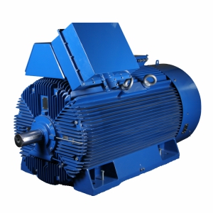 HIGH EFFICIENCY CANTONI MOTORS