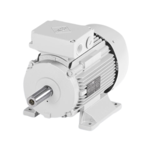 Marine propulsion motors