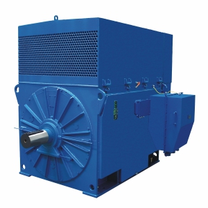 STANDARD EFFICIENCY CANTONI MOTORS